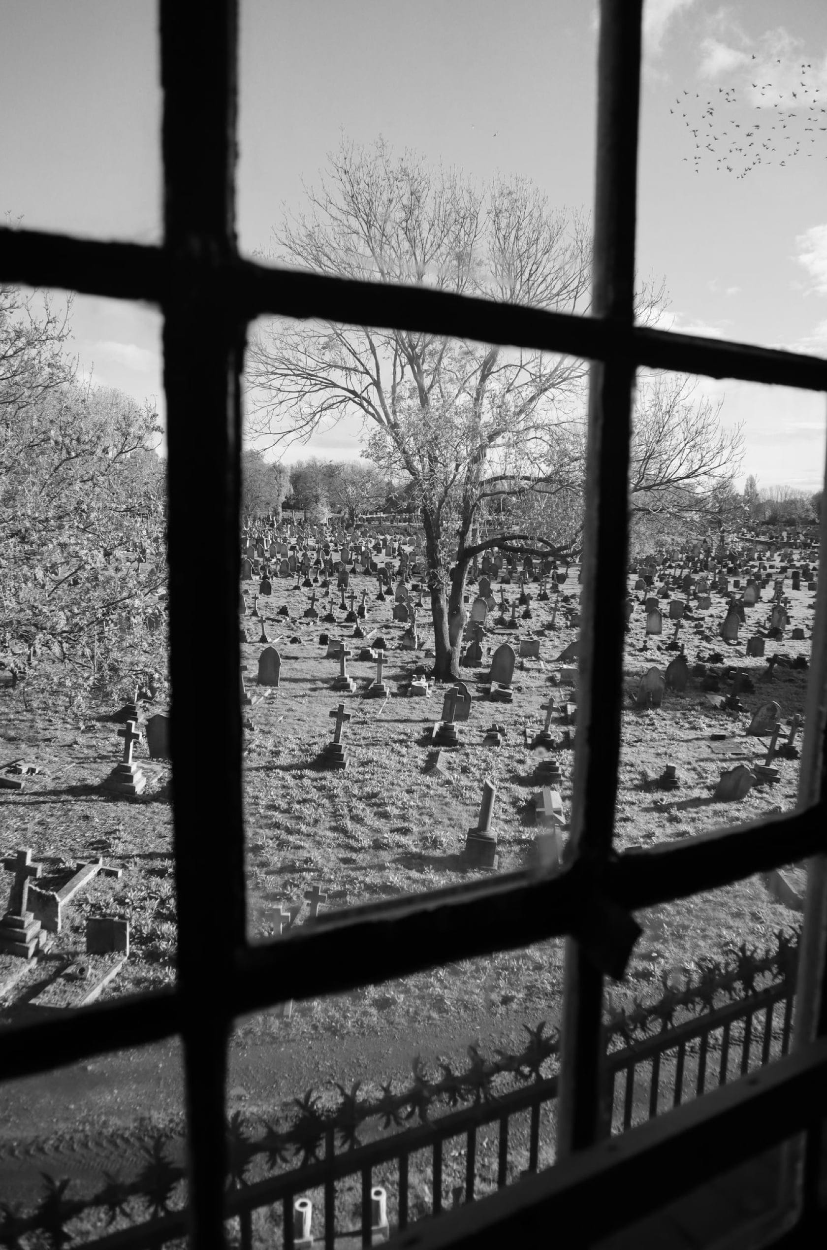 Saint & Sofia - Odyssey | A/W 22 Fashion Campaign | Saint + Sofia® EU