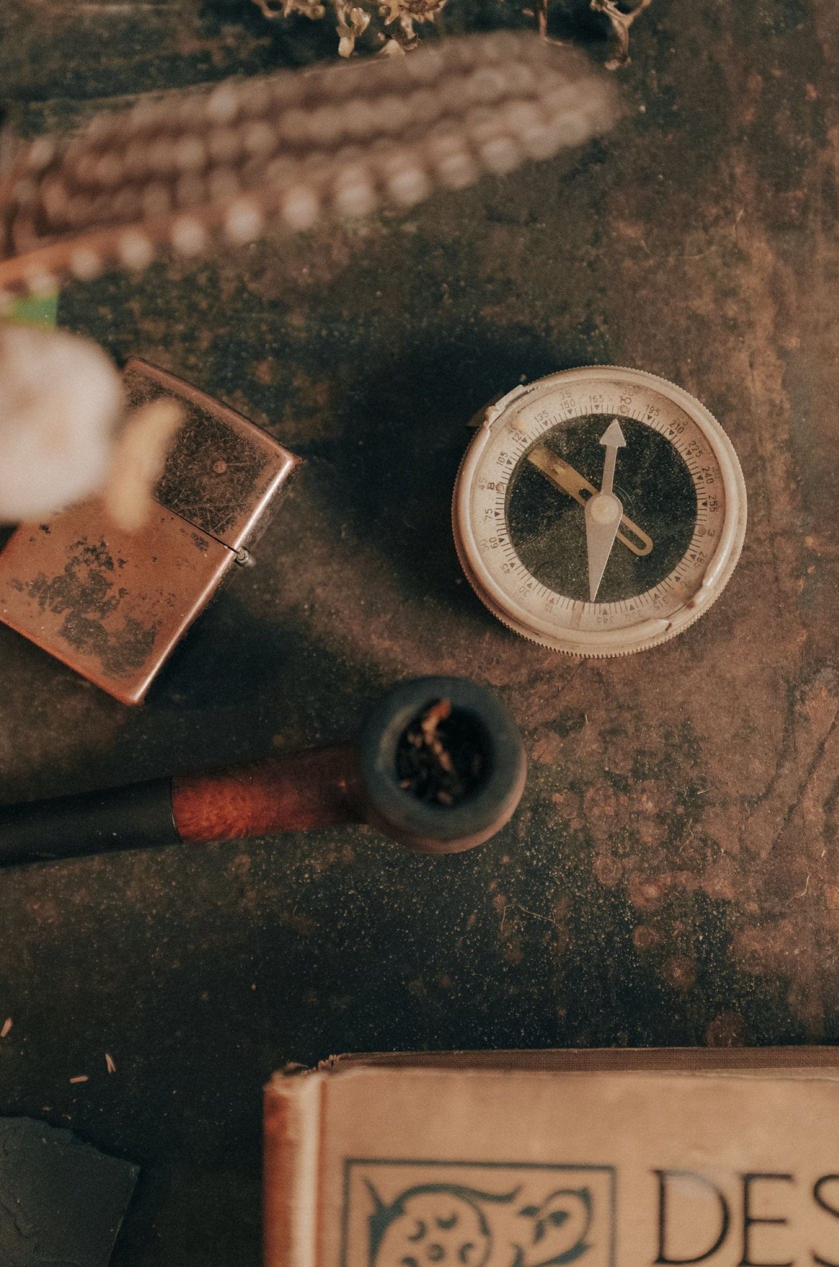 Saint & Sofia - Odyssey | A/W 22 Fashion Campaign | Saint + Sofia® EU