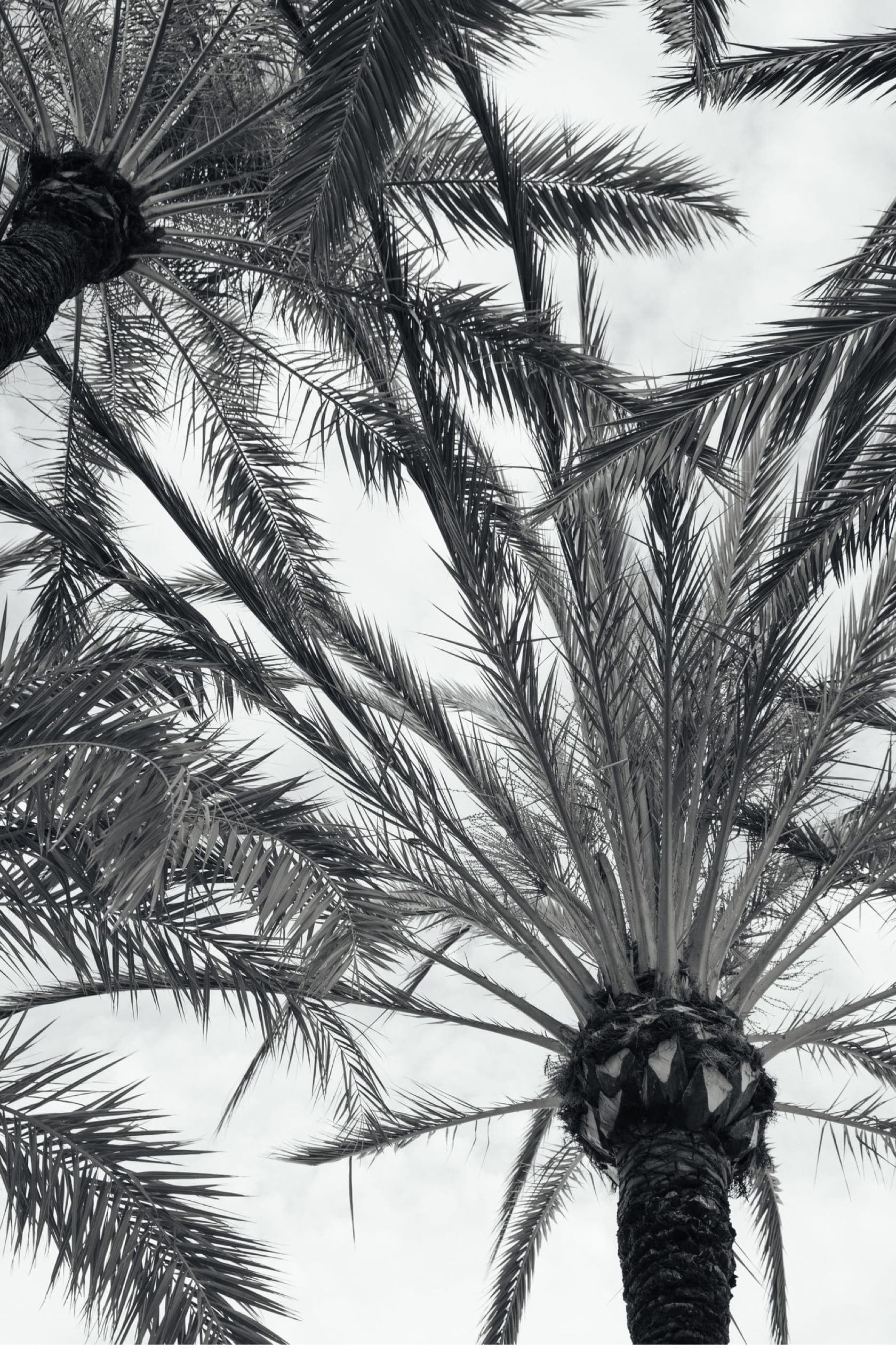 Saint & Sofia - Picturesque