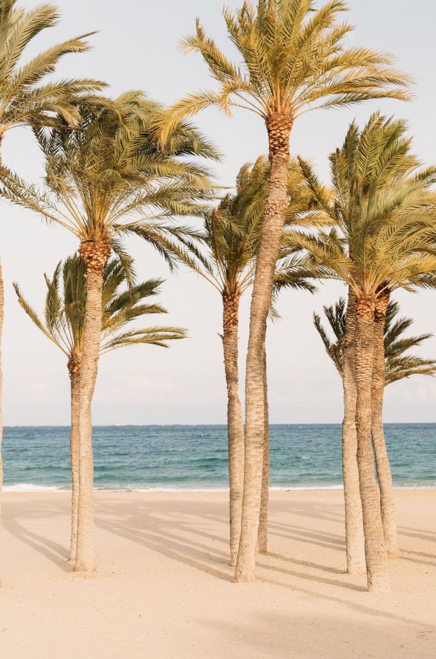 Saint & Sofia - Picturesque