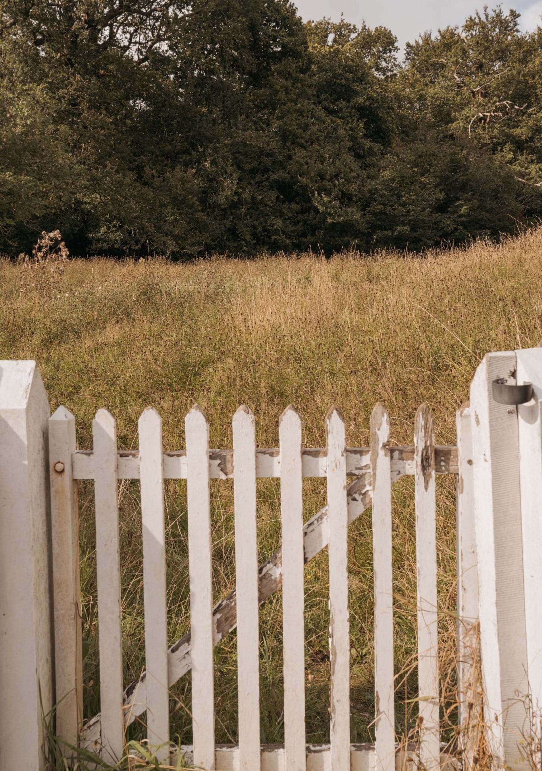 Saint & Sofia - Campaigns - The Harvest