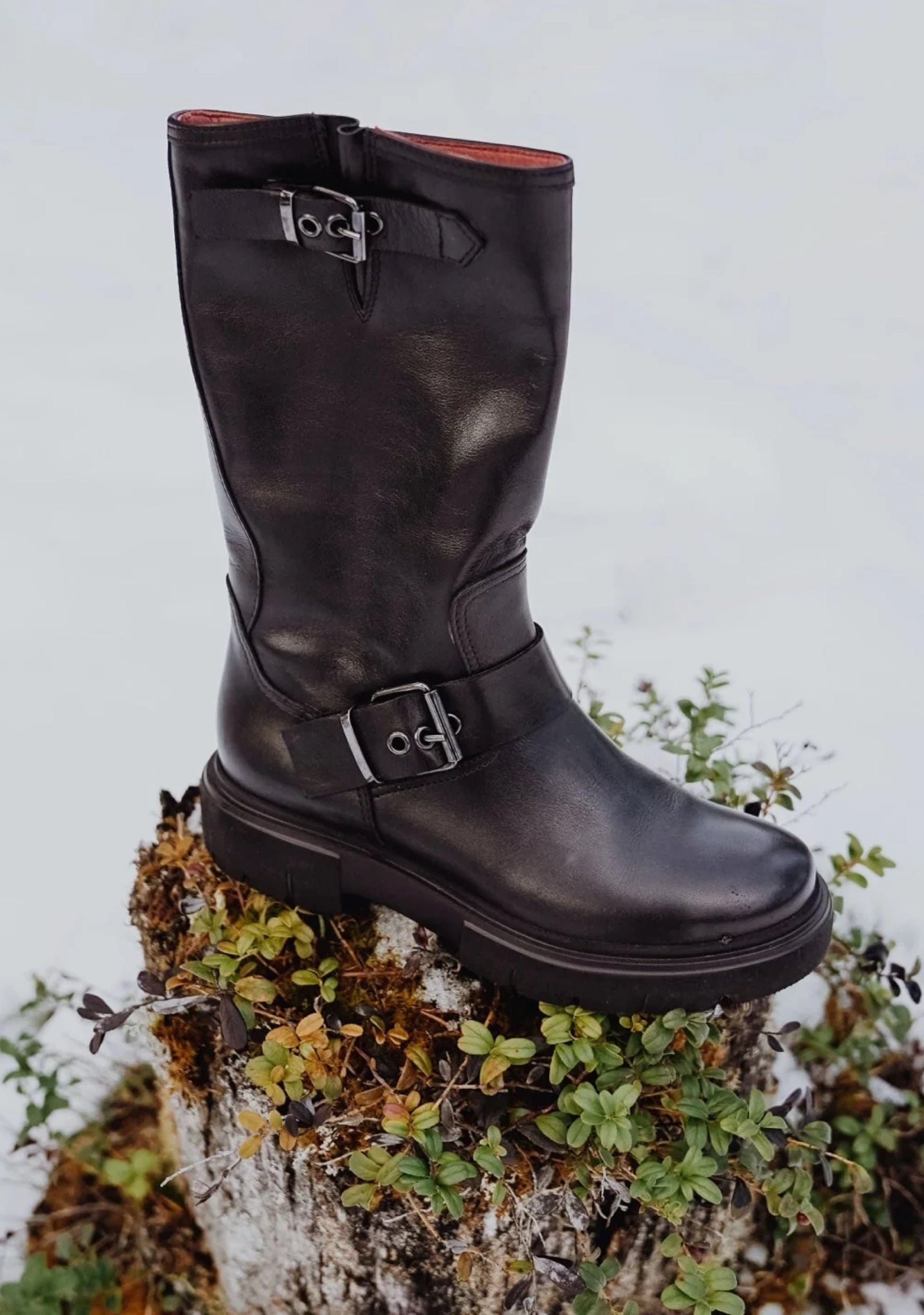 Saint & Sofia - Campaigns - Folklore