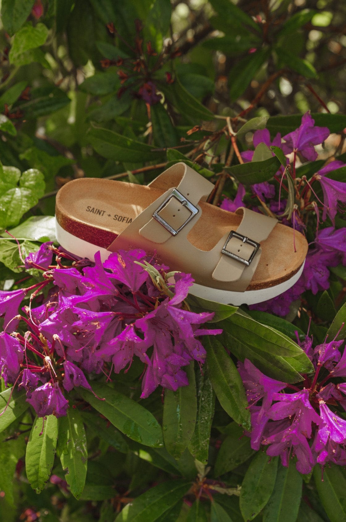 Saint & Sofia - Wonderland