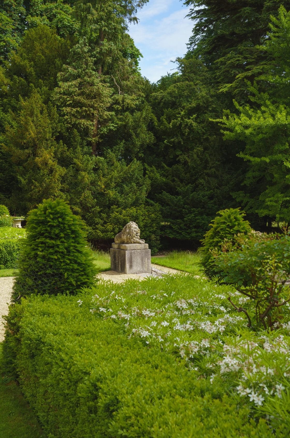 Saint & Sofia - Wonderland