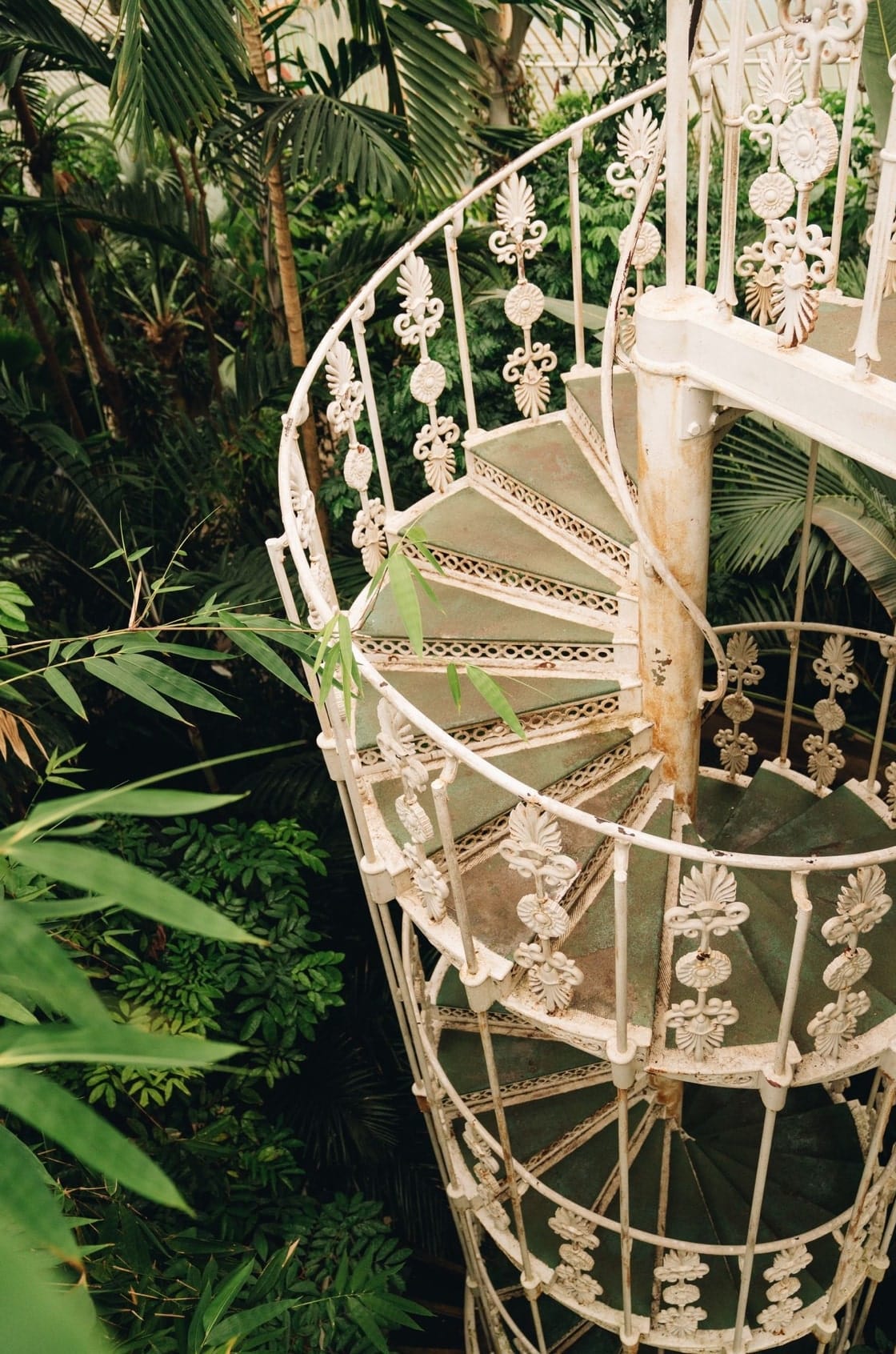 Saint & Sofia - The Botanist