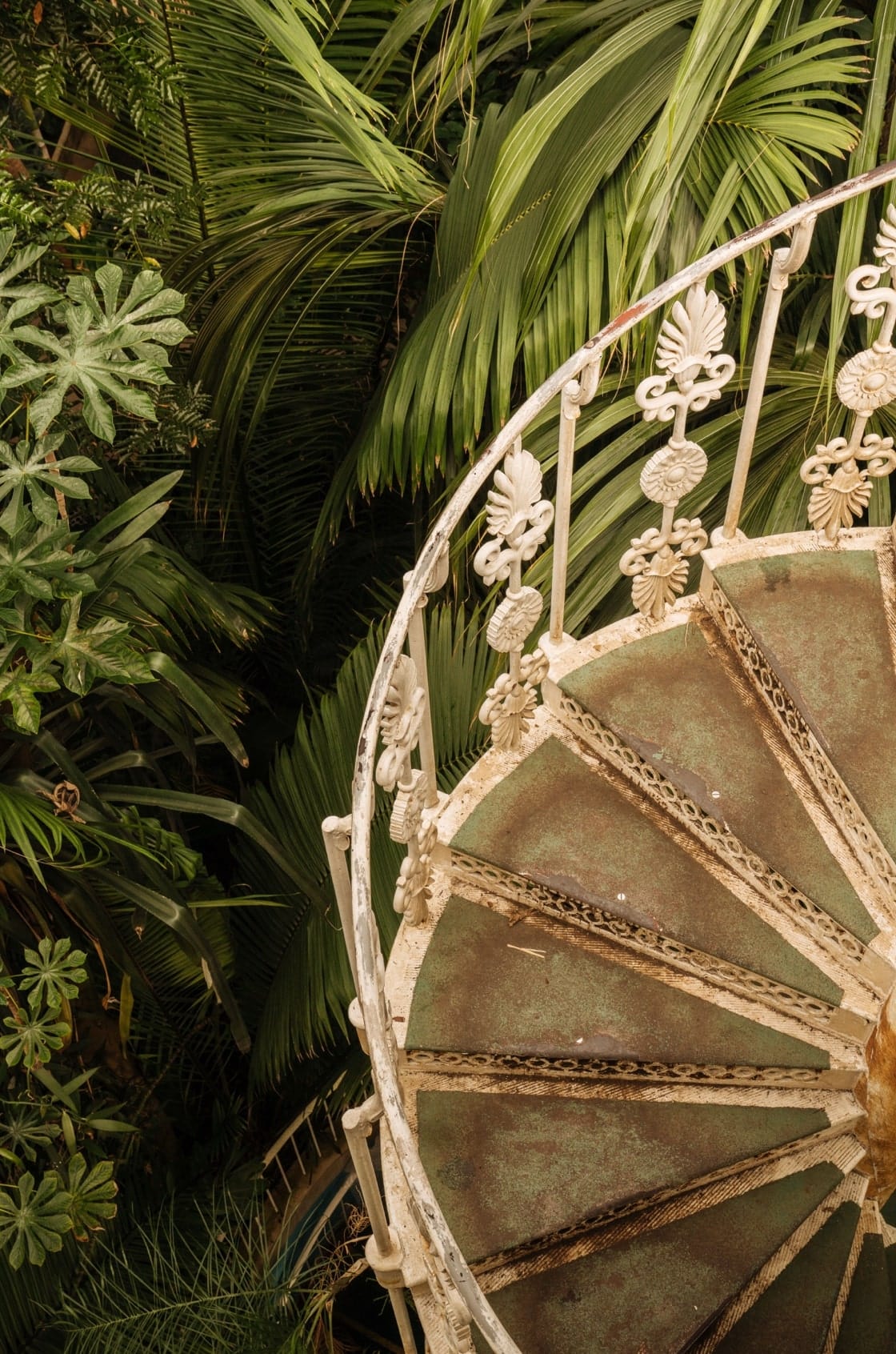 Saint & Sofia - The Botanist